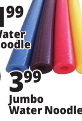 Ocean State Job Lot Jumbo water noodle offer