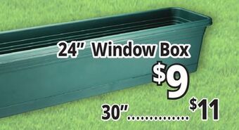 Ocean State Job Lot 24 window box offer