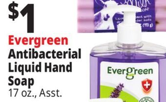 Ocean State Job Lot Evergreen antibacterial liquid hand soap offer