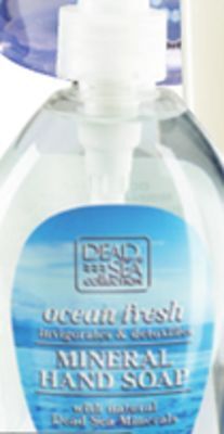 Ocean State Job Lot Dead sea liquid hand soap offer