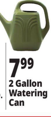 Ocean State Job Lot 2 gallon watering can offer