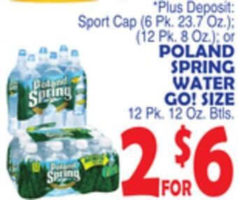 Bravo Supermarkets Poland spring water go! size offer