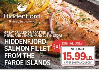Kings Food Markets Hiddenfjord salmon fillet from the faroe islands offer