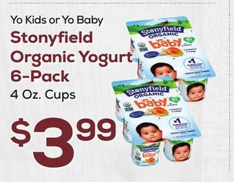 DeCicco & Sons Stonyfield organic yogurt 6-pack offer