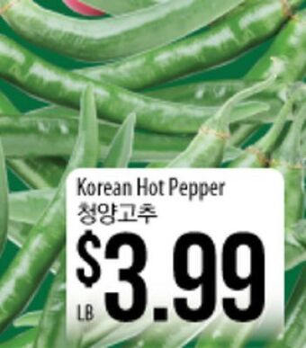 Hmart Korean hot pepper offer