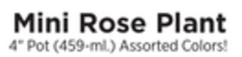 ShopRite Mini rose plant offer
