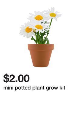 Five Below Mini potted plant grow kit offer