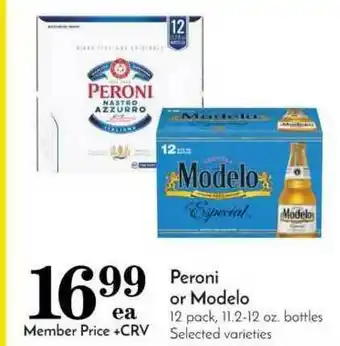 Pavilions Peroni Or Modelo offer