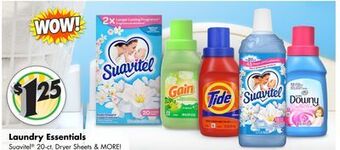 Dollar Tree Laundry essentials offer
