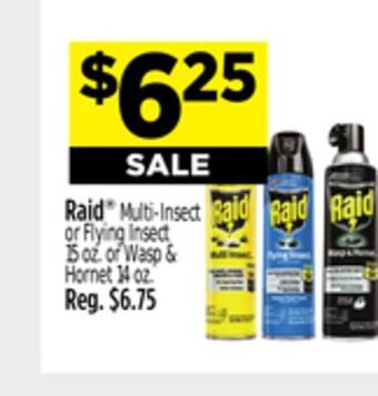 Dollar General Raid® offer