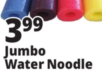 Ocean State Job Lot Jumbo water noodle offer