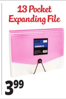 Ocean State Job Lot 13 pocket expanding file offer
