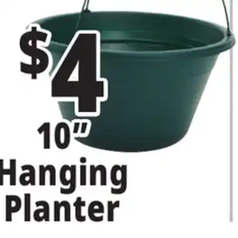 Ocean State Job Lot 10 hanging planter offer