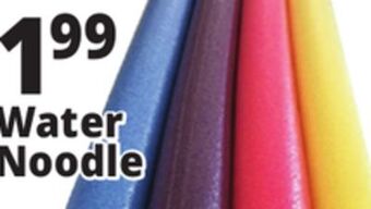Ocean State Job Lot Assorted pool noodles offer