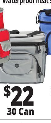 Ocean State Job Lot North peak hard lined cooler, 30-can offer