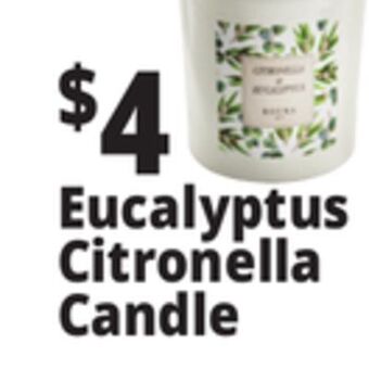 Ocean State Job Lot Eucalyptus citronella candle offer