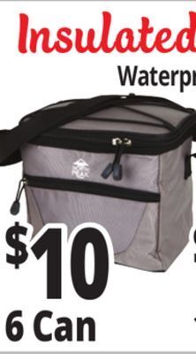 Ocean State Job Lot Insulated nylon coolers offer