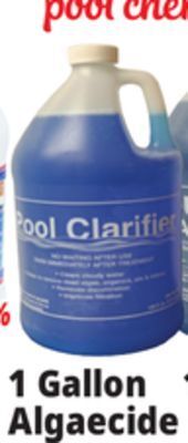 Ocean State Job Lot Summer algaecide, 1 gal offer