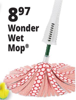 Ocean State Job Lot Wonder wet mop® offer