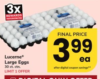 ACME Lucerne® large eggs offer