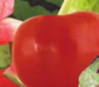 ACME Vine ripe tomatoes offer