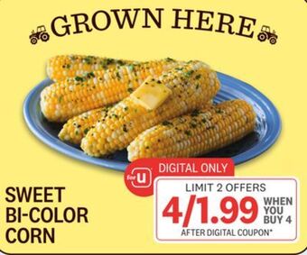 Kings Food Markets Sweet bi-color corn offer