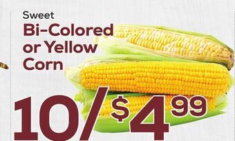 DeCicco & Sons Bi-colored or yellow corn offer