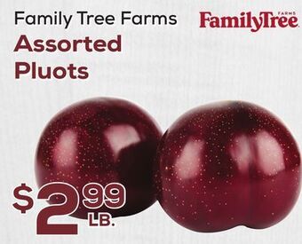 DeCicco & Sons Family tree farms assorted pluots offer