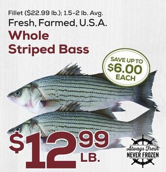DeCicco & Sons Whole striped bass offer
