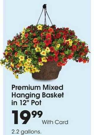 Fred Meyer Premium Mixed Hanging Basket In 12'' Pot offer