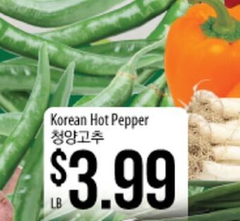 Hmart Korean hot pepper offer