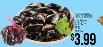 Hmart Live mussel offer