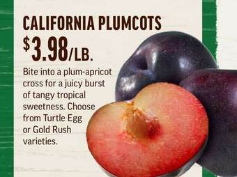 Central Market California Plumcots offer