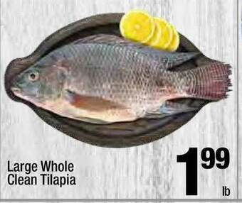 Super King Markets Large Whole Clean Tilapia offer