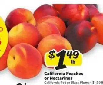Winn Dixie California Peaches Or Nectarines offer