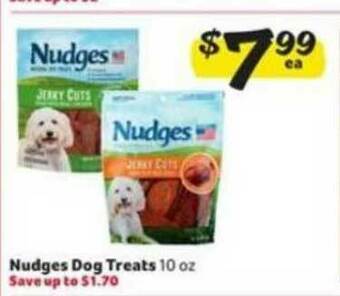 Winn Dixie Nudges Dog Treats offer