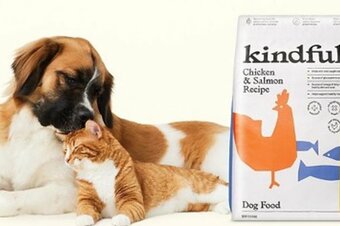 Target Kindfull 13-lb Dry Dog Food offer