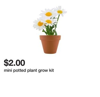 Five Below Mini potted plant grow kit offer