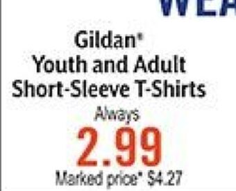 Hobby Lobby Gildan* youth and adult short-sleeve t-shirts offer