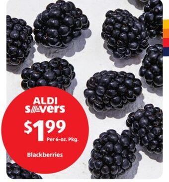 Aldi Blackberries offer