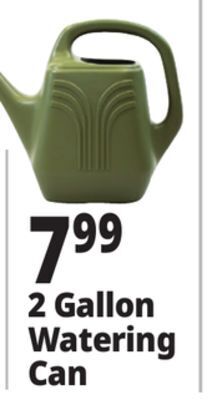 Ocean State Job Lot 2 gallon watering can offer