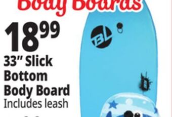 Ocean State Job Lot Big lizard 33 pro series hard slick bodyboard offer