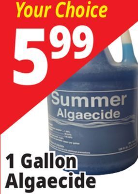 Ocean State Job Lot Summer algaecide, 1 gal offer