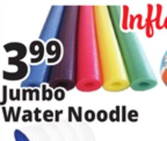 Ocean State Job Lot Jumbo water noodle offer
