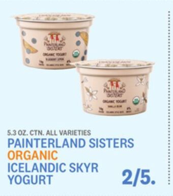Kings Food Markets Painterland sisters organic icelandic skyr yogurt offer