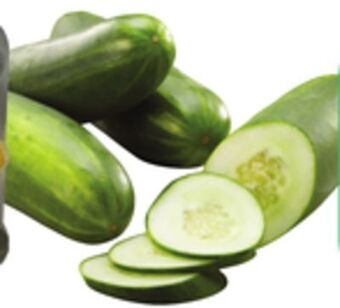 ACME Cucumbers offer