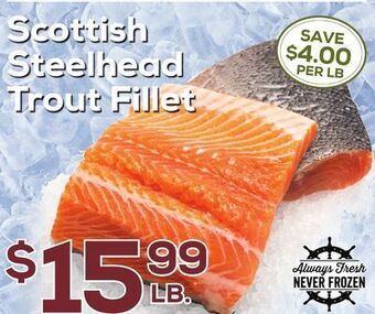 DeCicco & Sons Scottish steelhead trout fillet offer