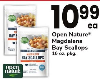 ACME Open nature® magdalena bay scallops offer