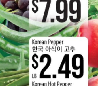 Korean pepper