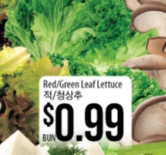 Hmart Red/green leaf lettuce offer